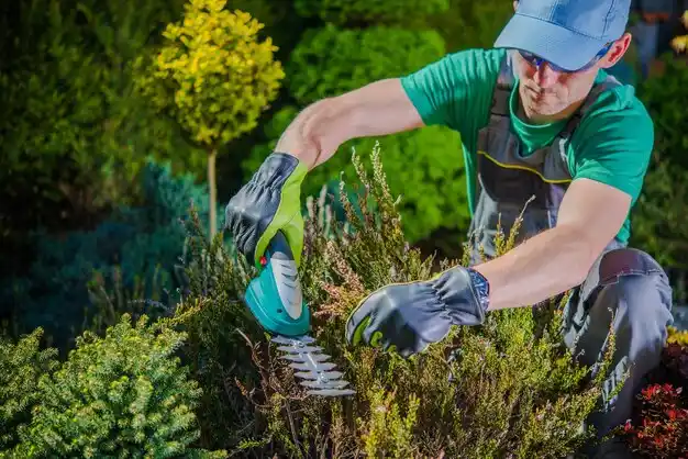landscaping services Country Club Hills